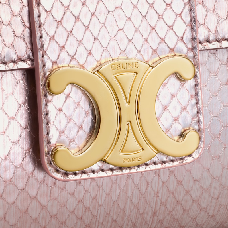 sac céline victoria pour adolescentes en python nacré