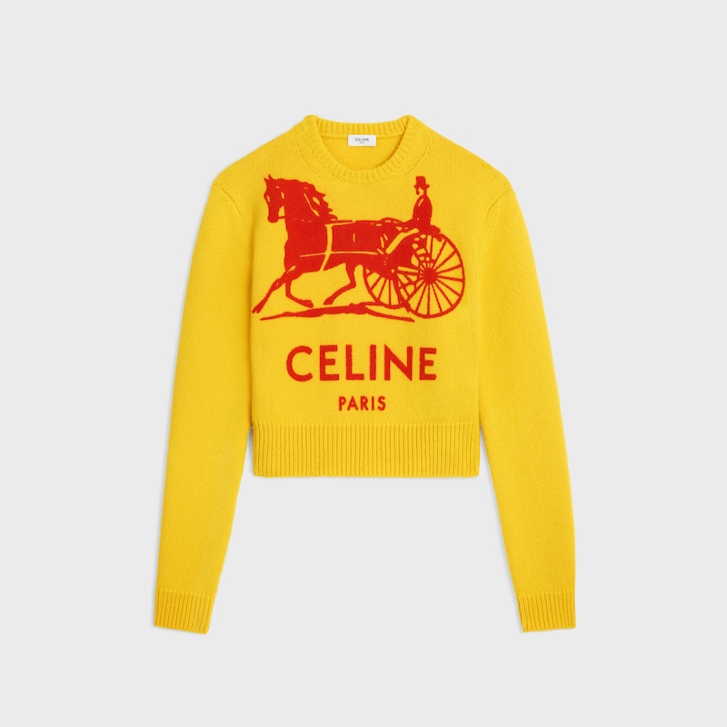 pull ras du cou en cachemire